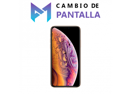 Cambio De Pantalla Iphone Se Promovil Servicio T Cnico